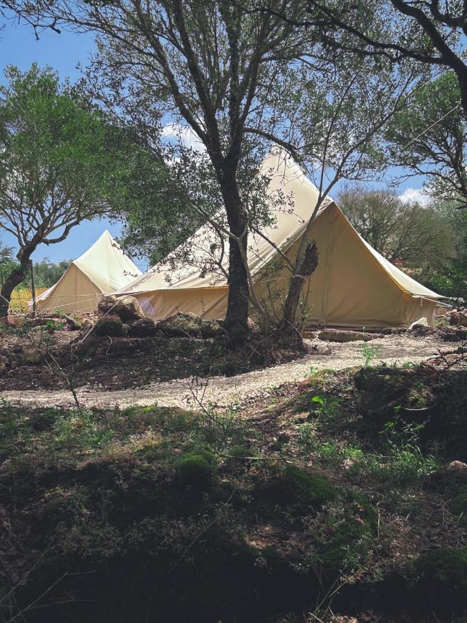 Pasare Glamping_Anglonaruralexperience Hotell Perfugas Eksteriør bilde
