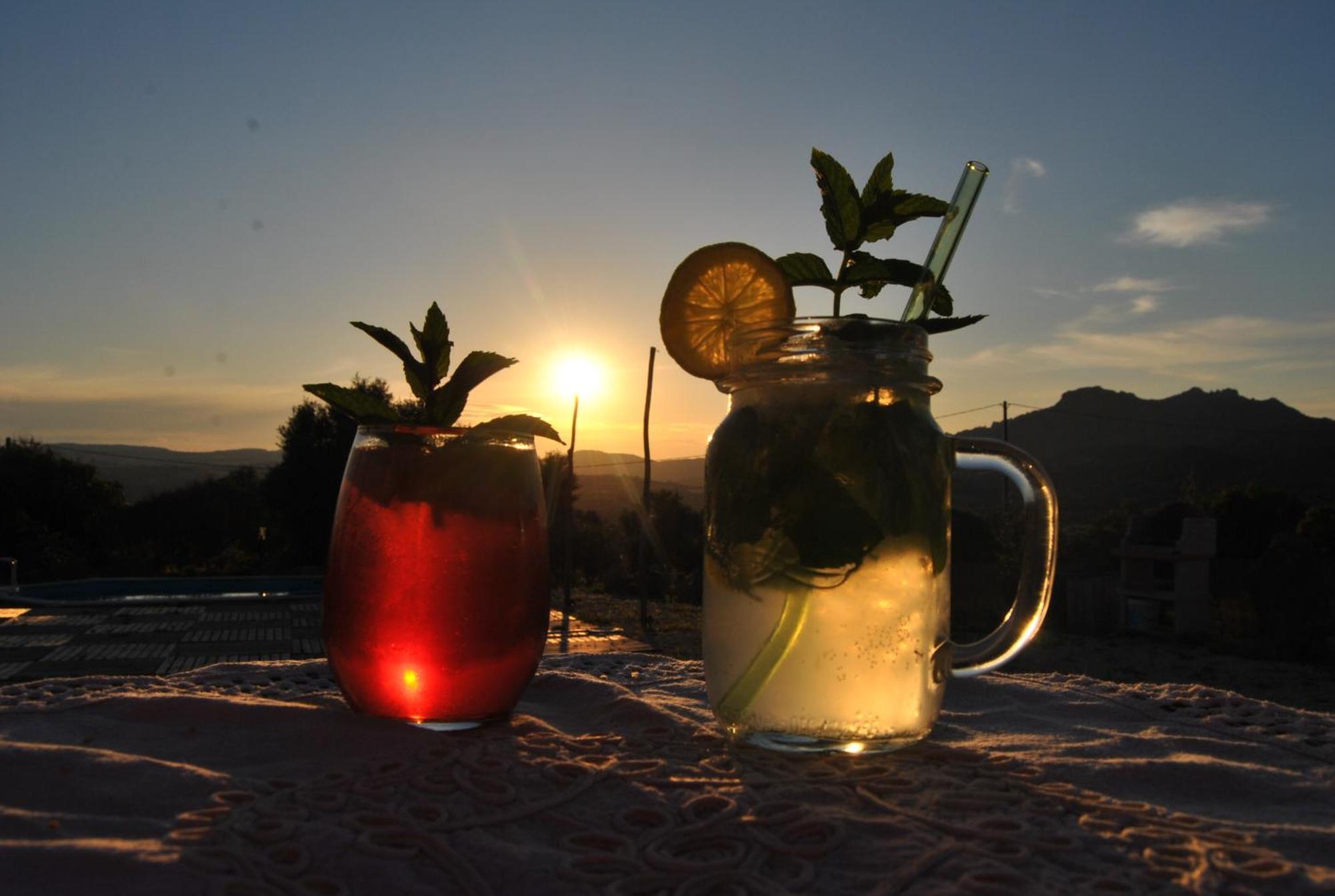 Pasare Glamping_Anglonaruralexperience Hotell Perfugas Eksteriør bilde